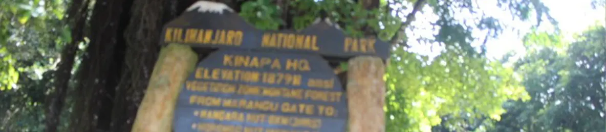 Kilimanjaro Marangu Route 